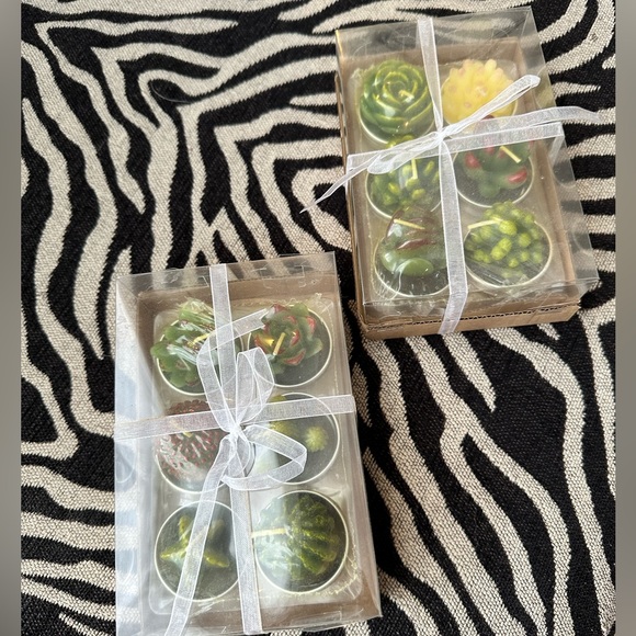 Other - NWT - Succulent candles